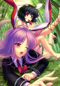 Rating: Questionable Score: 0 Tags: inaba_tewi reisen_udongein_inaba sayori touhou User: tokaivader