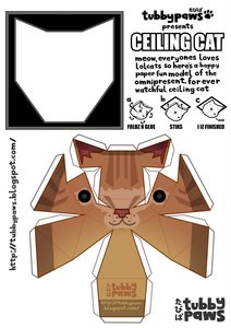 Rating: Safe Score: 0 Tags: lolcat papercraft User: edogawaconan