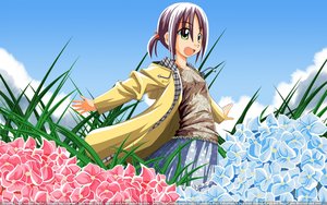 Rating: Safe Score: 0 Tags: afternoon cloud flower free hayate_no_gotoku User: tida