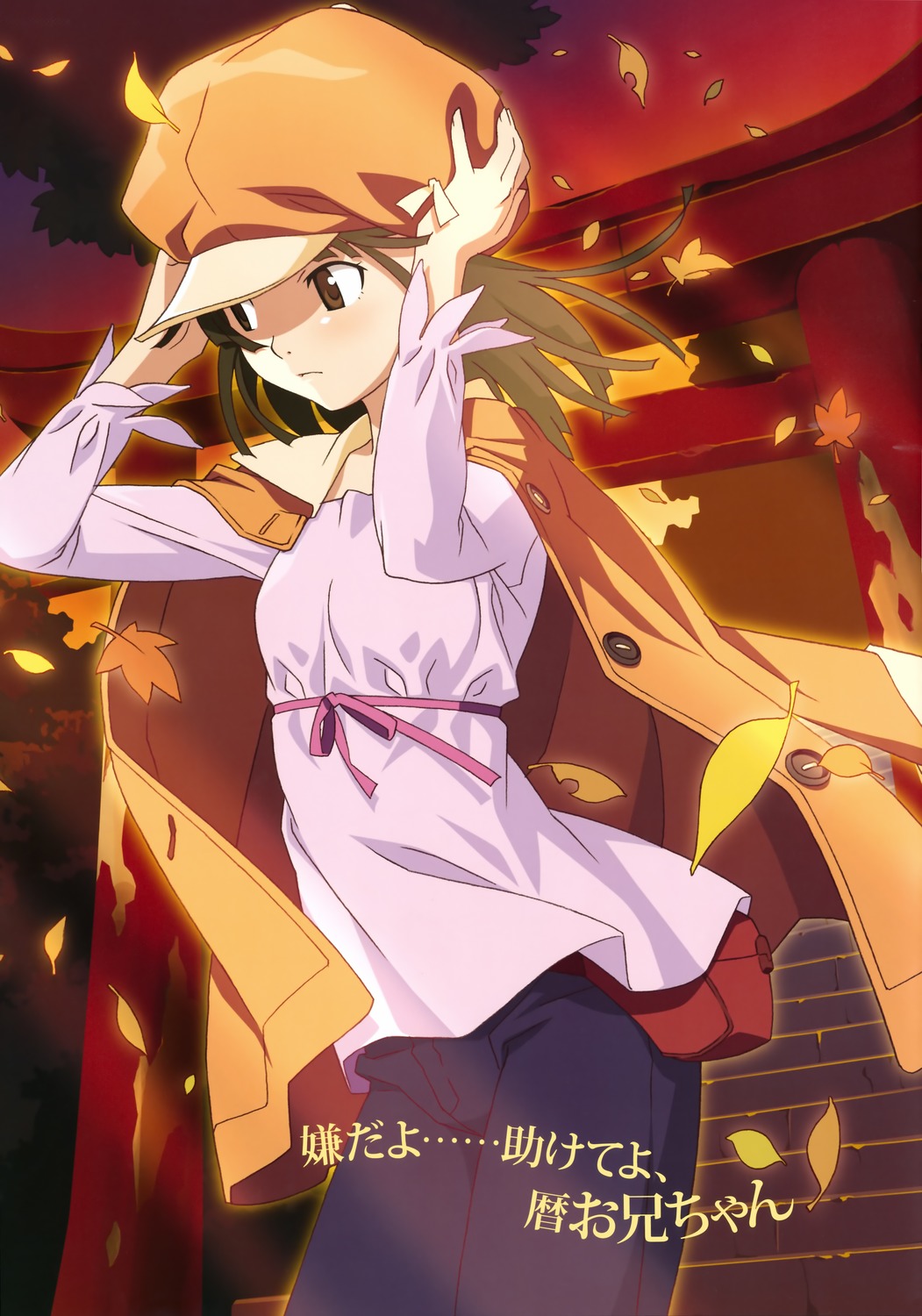 bakemonogatari sengoku_nadeko